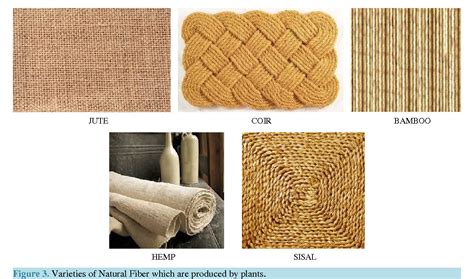 Jute Fibre Reinforced Composites - Lekkie i Trwałe Materiały dla Przyszłości!