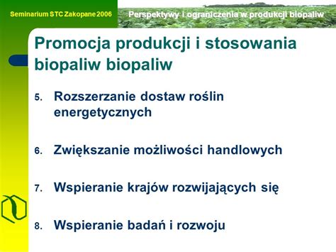  Oleic Acid: Zastosowanie w Produkcji Biopaliw i Przemysłowej Syntezie Tłuszczów?